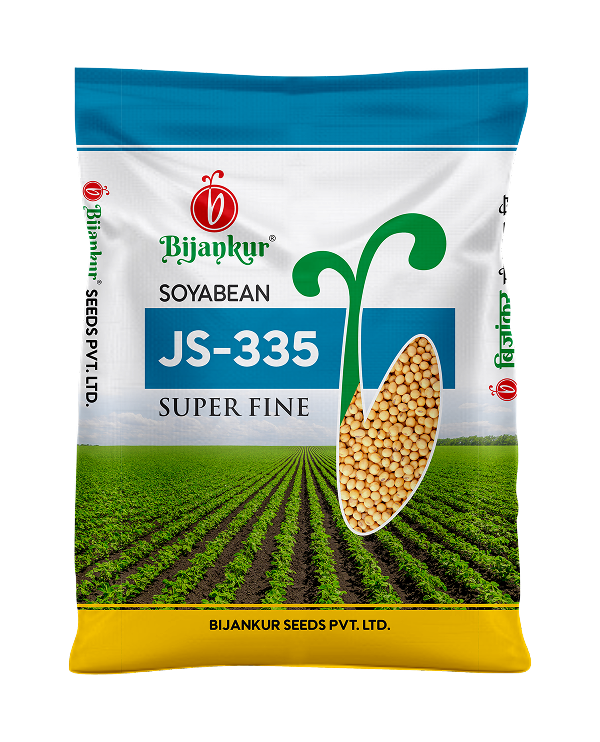 JS 335 Soyabean
